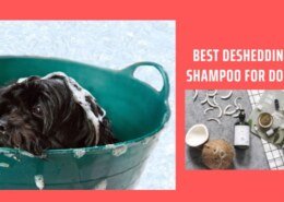 Best deshedding shampoo for dogs