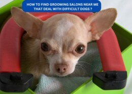 how to find grooming salons near me that deal with difficult dogs ?