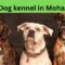 Dog kennel in Mohali?