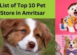 List of Top 10 Pet Store in Amritsar