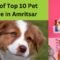 List of Top 10 Pet Store in Amritsar